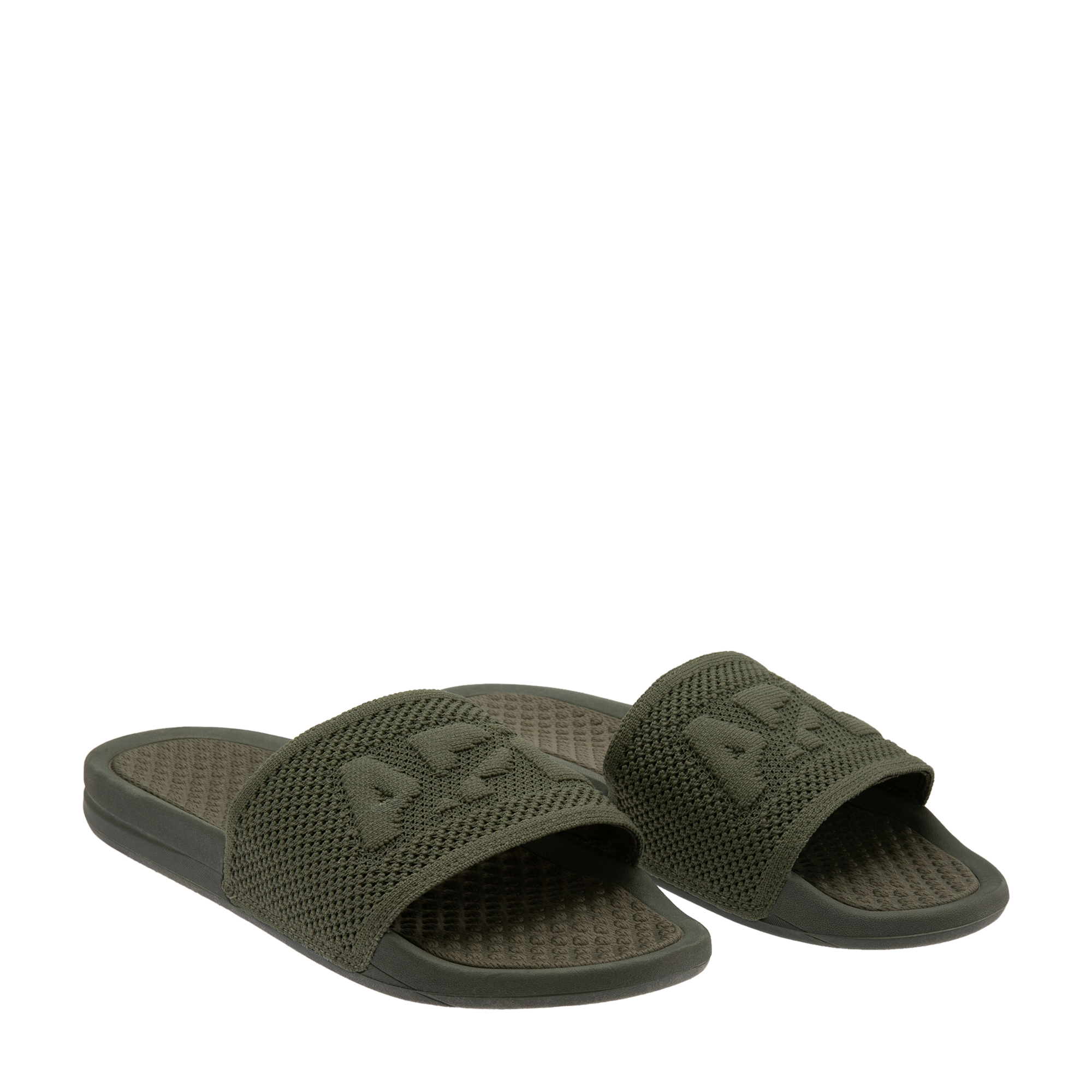 

Big Logo Techloom slides, Green