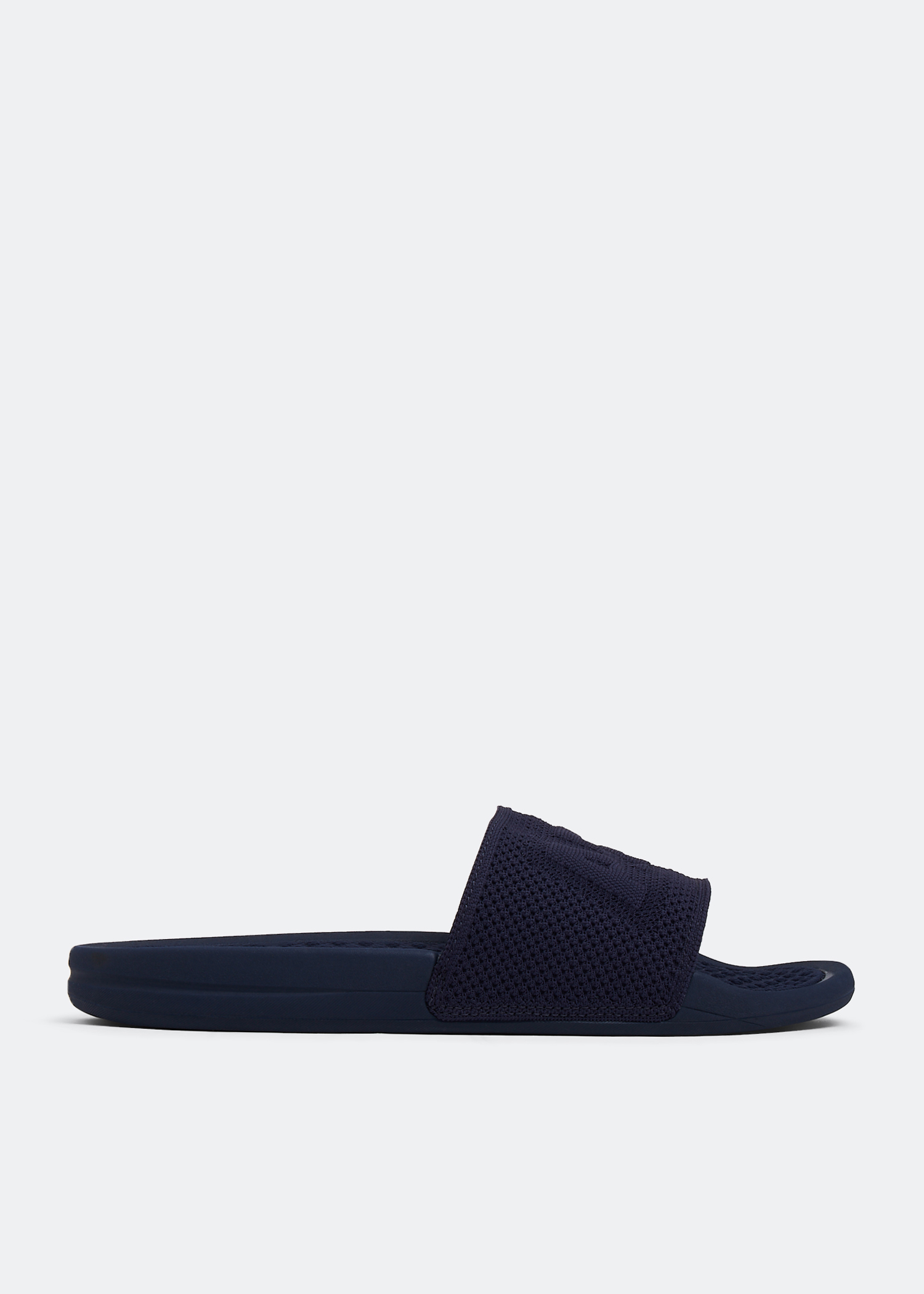 

Techloom slides, Blue