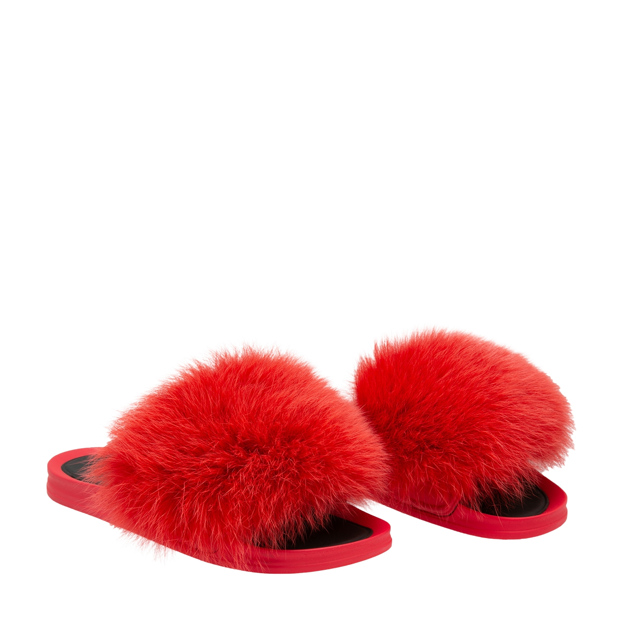 

Foxy Fox slides, Red