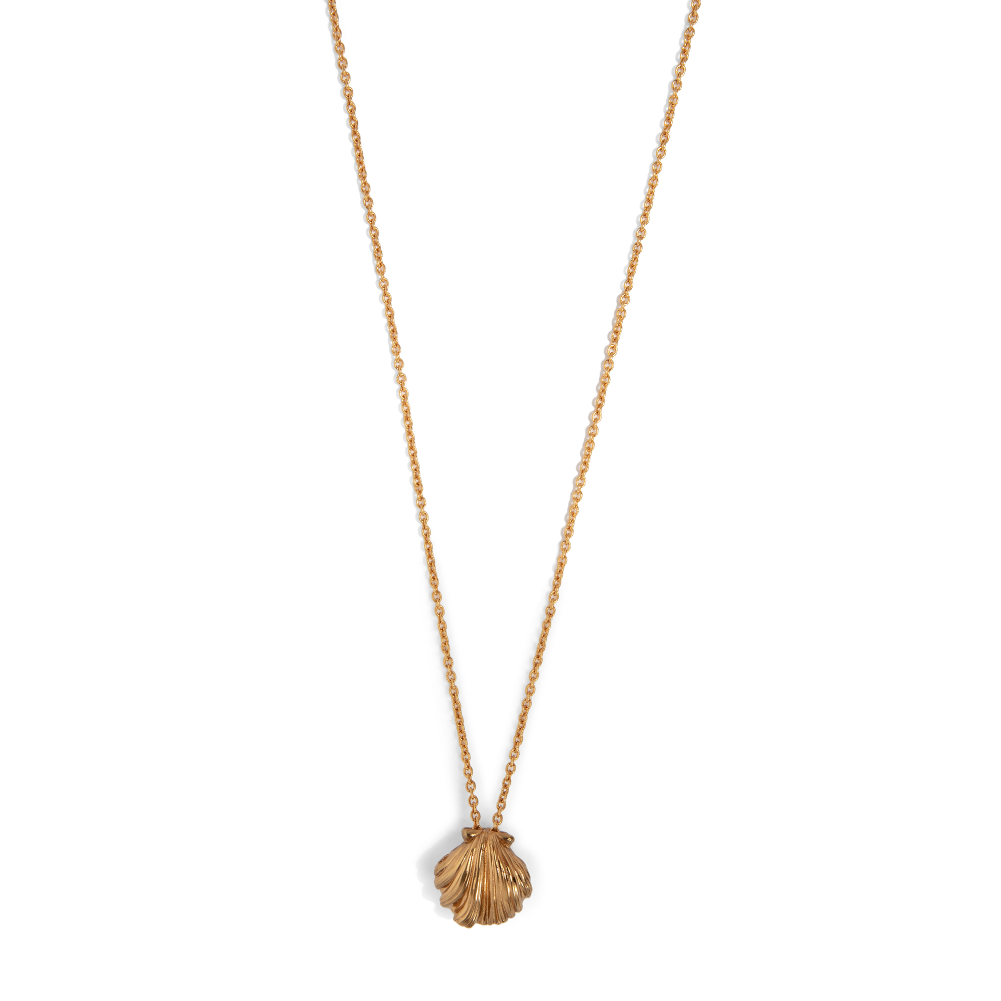 

Seashell necklace, Gold