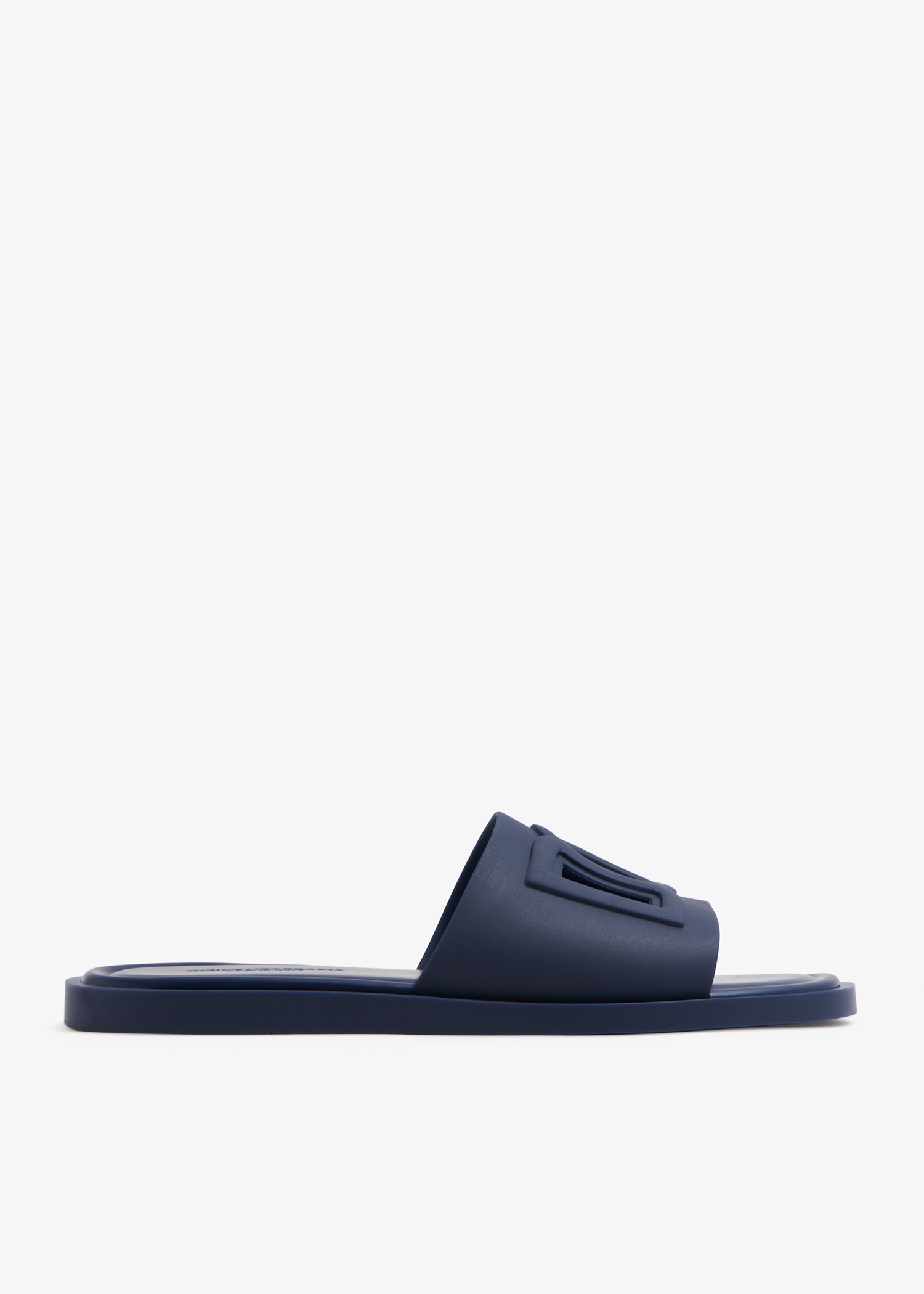 

DG logo slides, Blue