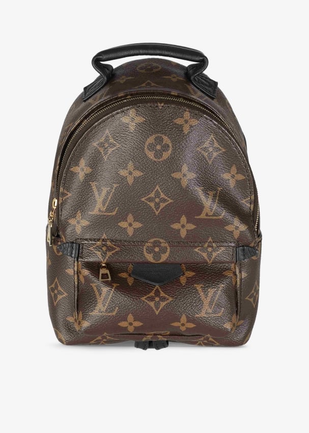 Louis Vuitton Pre Loved Palm Springs Mini backpack for Women Brown in KSA Level Shoes