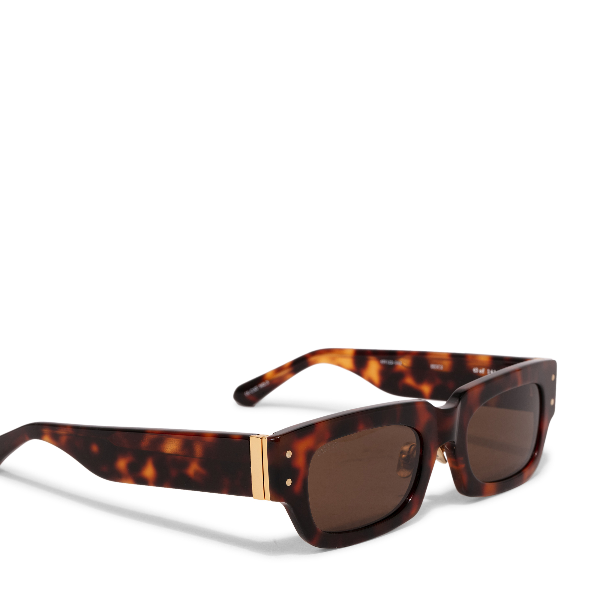 

Tre sunglasses, Brown