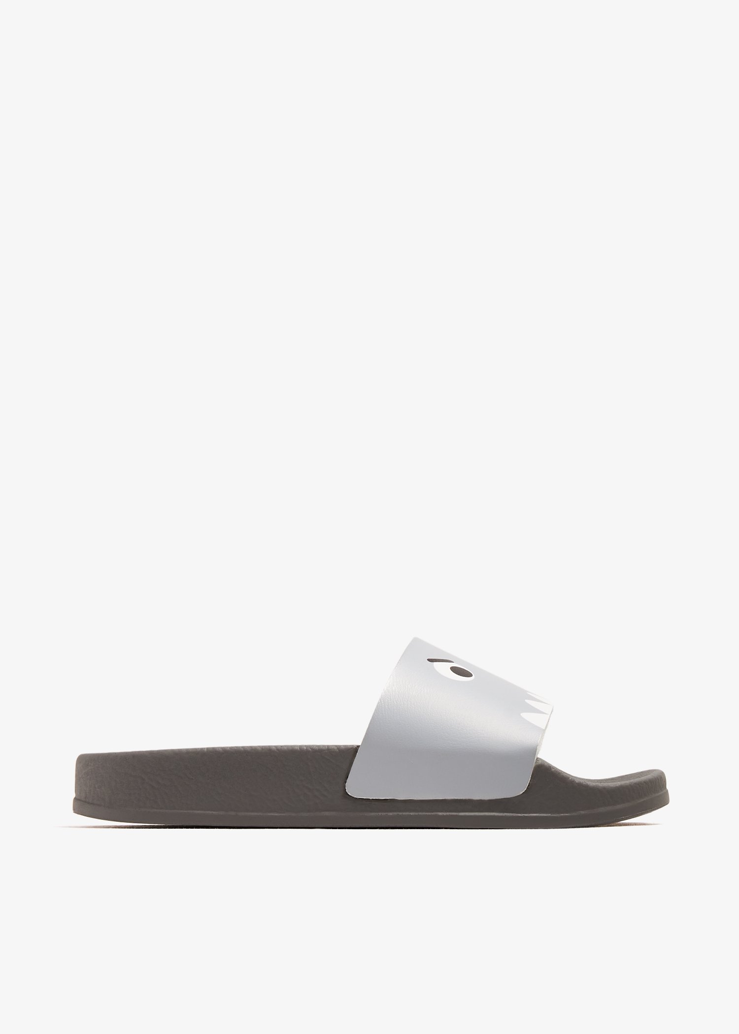 

Shark slides, Grey